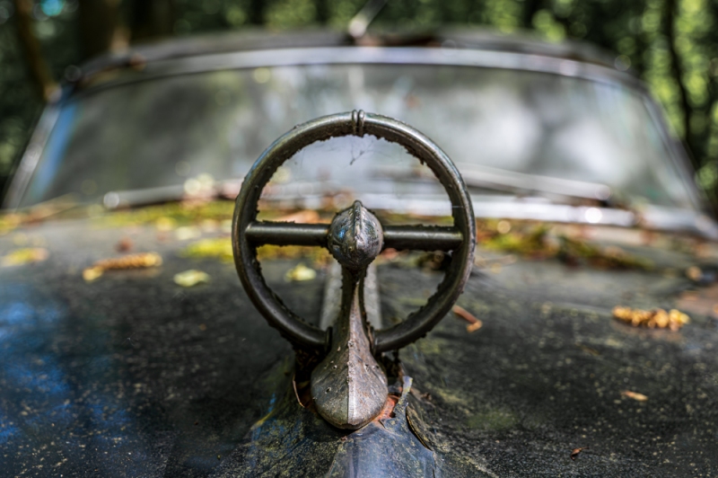 Z62_2802-Verbessert-RR