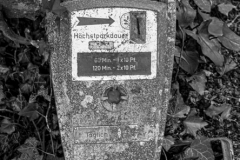 Z62_2776-Verbessert-RR