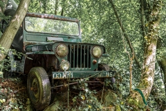 Z62_2782-Verbessert-RR