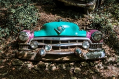 Z62_2783-Verbessert-RR