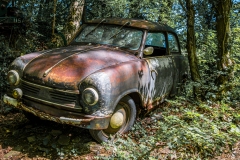 Z62_2786-Verbessert-RR