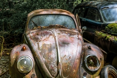 Z62_2793-Verbessert-RR