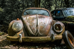 Z62_2796-Verbessert-RR