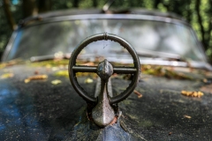 Z62_2802-Verbessert-RR