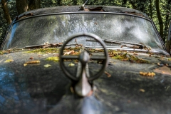 Z62_2803-Verbessert-RR