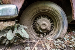 Z62_2818-Verbessert-RR