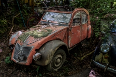 Z62_2861-HDR