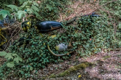 Z62_2891-HDR-Verbessert-RR
