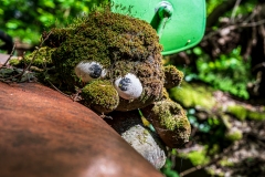 Z62_2913-Verbessert-RR