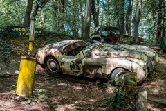 Z62_2937-Verbessert-RR