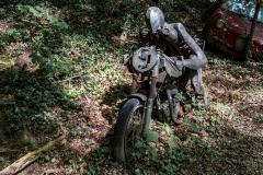 Z62_2940-Verbessert-RR